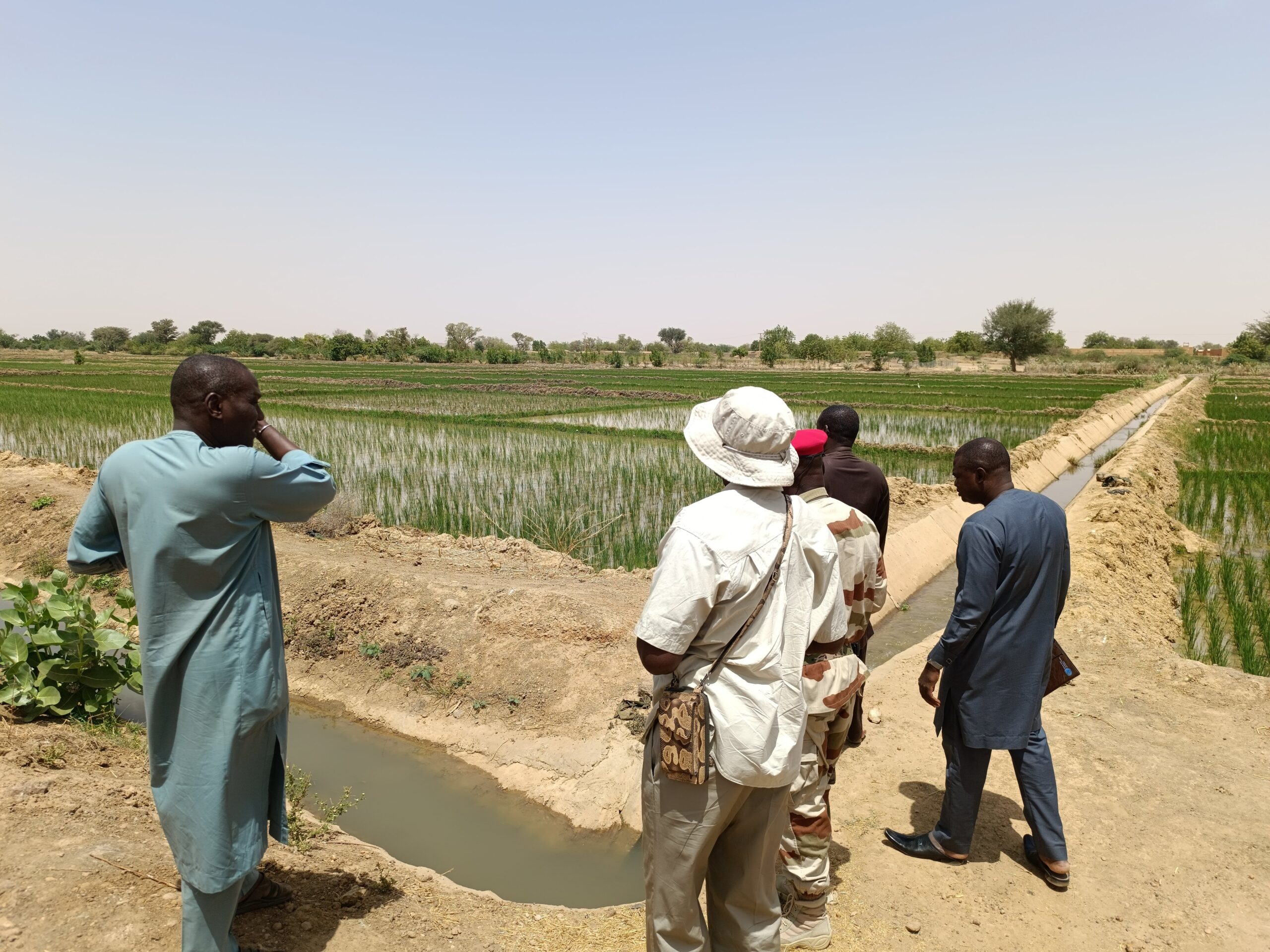 Niger : la ferme pénitentiaire de Daikiana, un modèle de réinsertion 