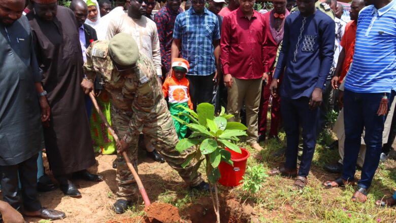 La jeunesse nigérienne s'engage pour l'environnement en lançant une vaste campagne de plantation d'arbres, soutenue par le gouvernement.