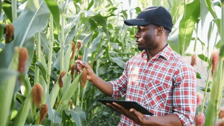 Le CORAF honore l'héritage d'Abdoulaye Touré avec un nouveau prix visant à stimuler l'innovation agricole en Afrique de l'Ouest et du Centre