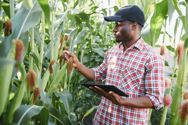 Le CORAF honore l'héritage d'Abdoulaye Touré avec un nouveau prix visant à stimuler l'innovation agricole en Afrique de l'Ouest et du Centre