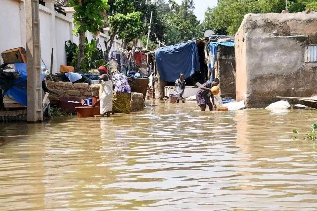 Le Niger sous les eaux : Bilan humain des inondations dramatiques