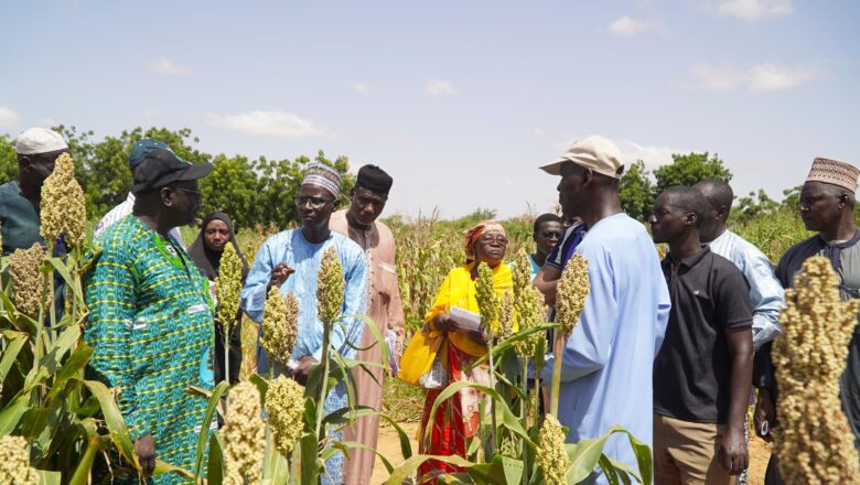 Plus de 200 acteurs agricoles ont découvert les dernières innovations au Parc Technologique du Niger lors de journées portes ouvertes.