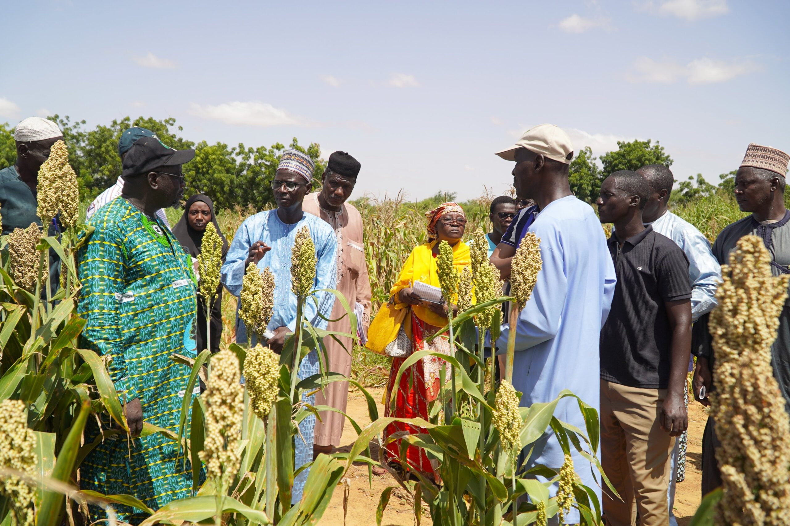 Le Parc Technologique et d’Innovation du Niger ouvre ses portes aux acteurs de l’agriculture