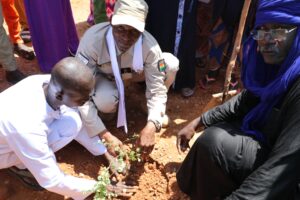 Le PNUD et Birni N'Gaouré s'unissent pour planter 20 000 arbres et créer la clôture du futur complexe agro-industriel de la région.