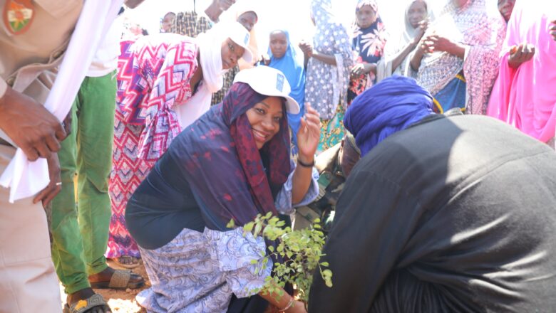 Le PNUD et Birni N'Gaouré s'unissent pour planter 20 000 arbres et créer la clôture du futur complexe agro-industriel de la région.