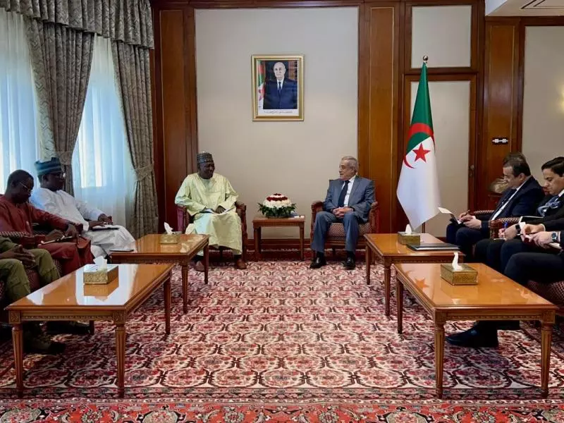 L'Algérie et le Niger s'engagent à développer leur partenariat énergétique, notamment autour du projet de gazoduc transsaharien