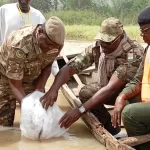 Le Niger relance la pêche au lac de Madarounfa pour assurer la sécurité alimentaire et préserver l'environnement.