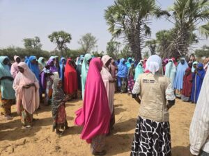 Transform Niger, avec le soutien du Royaume-Uni, révolutionne la vie des femmes à Egrou et Kobi à travers l'agriculture durable 