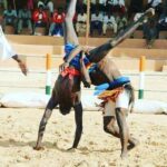 Le Niger célèbre son patrimoine culturel avec le Sabre National de Lutte Traditionnelle à Dosso. Une occasion de renforcer l'unité nationale