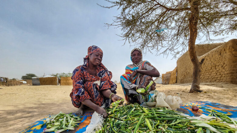 De l’aridité à l’abondance : comment l’aménagement hydro-agricole de Kololla symbolise la quête d’autosuffisance alimentaire au Niger. Décryptage d’un projet phare, entre irrigation innovante, synergies public-privé et renaissance des terres de Diffa