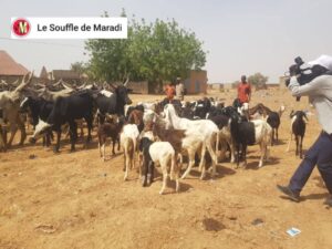 Les forces de sécurité nigériennes ont démantelé un réseau de criminels